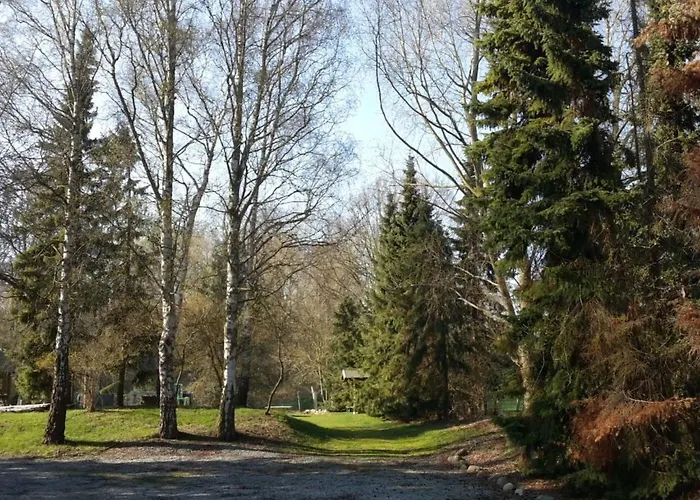 Waldblick By Interhome Gronwohldshorst