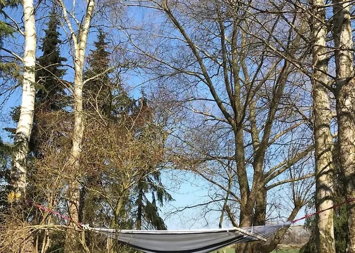 Waldblick By Interhome Apartamento