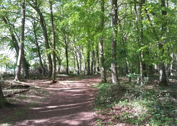 Waldblick By Interhome *