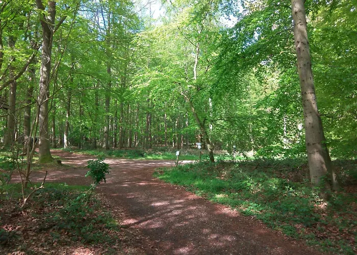 Waldblick By Interhome *